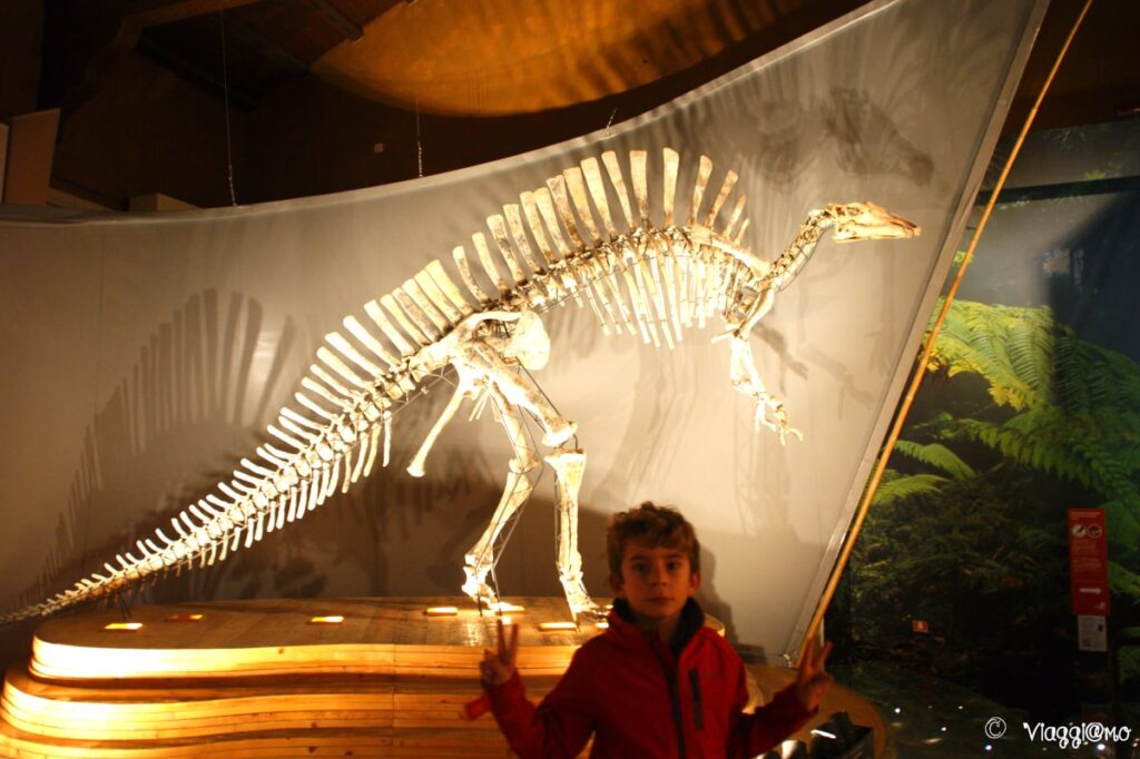 Scheletro dinosauro nel Museo di Storia Naturale